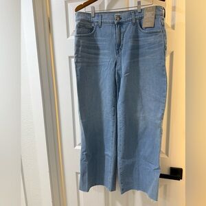 Madewell Light Blue Wide Leg Jeans